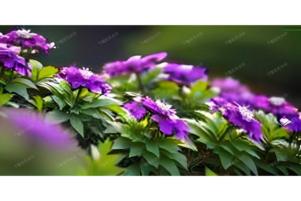 杭州变装按摩,体验式服务流程揭秘 杭州变装按摩,体验式服务流程揭秘